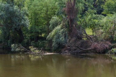 Dolni Kounice taş ocağının yanındaki Jihlava Nehri. Nehir boyunca ağaçlar
