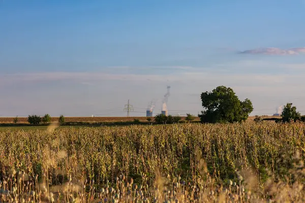 Arka planda, Dukovany nükleer enerji santrali
