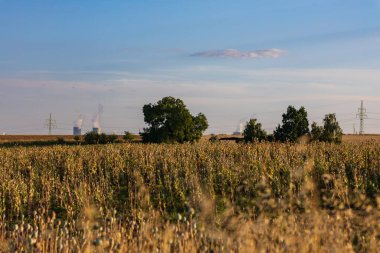Arka planda, Dukovany nükleer enerji santrali
