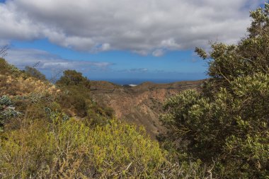 Caldera de Bandama Gran Canaria İspanya - volkanik patlamadan sonra doğa rezervi