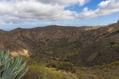 Caldera de Bandama Gran Canaria İspanya - volkanik patlamadan sonra doğa rezervi