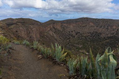Caldera de Bandama Gran Canaria İspanya - volkanik patlamadan sonra doğa rezervi