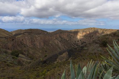 Caldera de Bandama Gran Canaria İspanya - volkanik patlamadan sonra doğa rezervi