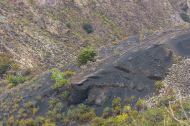 Caldera de Bandama Gran Canaria İspanya - volkanik patlamadan sonra doğa rezervi
