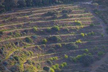 Deniz manzarası manzarası. Pico de Bandama ve Caldera İspanya 'da Gran Canaria' da