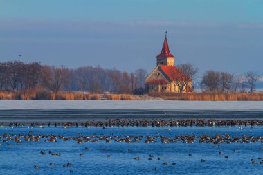 Üzerinde ördek sürüsü olan donmuş bir göl. Arka planda St. Linhart ve Palava Kilisesi var.