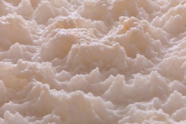 Bira için mayalanan malt fıçıları - açık döküntü. Bira hazırlığı