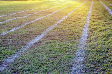 Thaland 'ın uzak bir bölgesindeki okulda koşmak için çimenlerin üzerinde açık beyaz çizgiler ya da çimenler..