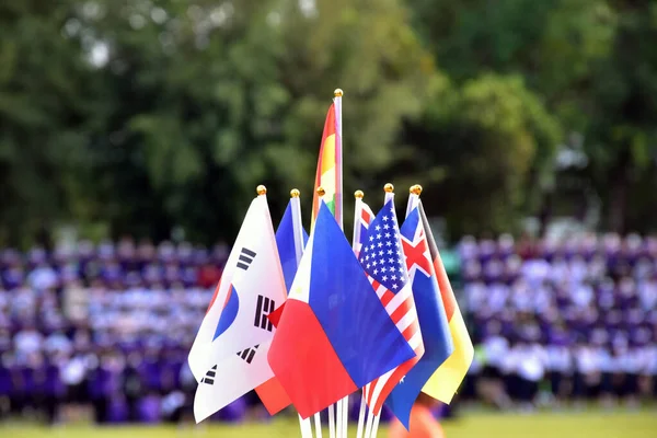 Rainbow flags and flags of many countries in front of green grasslawn of asian school, concept for celebration of lgbtq+ genders in pride month around the world, soft and selective focus.