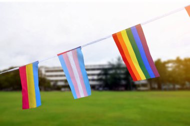 Lgbtq + bayraklar, güneşli bir günde bluesky 'ye karşı kabloyla asıldı, yumuşak ve seçici odaklanma, LGBTQ + cinsiyet kutlamaları için dünya çapında gurur ayında konsept.