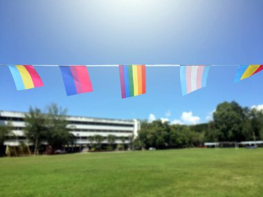 Lgbtq + bayraklar, güneşli bir günde bluesky 'ye karşı kabloyla asıldı, yumuşak ve seçici odaklanma, LGBTQ + cinsiyet kutlamaları için dünya çapında gurur ayında konsept.