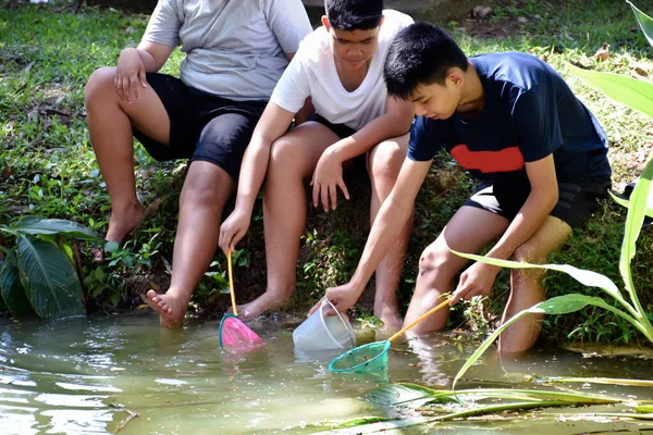 Три Школьника Юго Восточной Азии Держат Приборы Изучения Изучения Экологии — стоковое фото