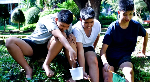 Три Школьника Юго Восточной Азии Держат Приборы Изучения Изучения Экологии — стоковое фото
