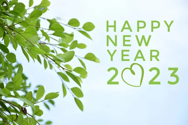 \'HAPPY NEW YEAR 2023\' in green color with ficus branches and leaves background, concept for greeting invitation card and happy new year 2023, happy life.