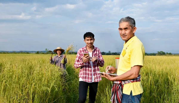 穿着黄衫的亚洲老年男子形象正在通过询问和采访附近的亚洲青年男子和女农民来记录种植信息 这种方式既柔和又有选择性 — 图库照片