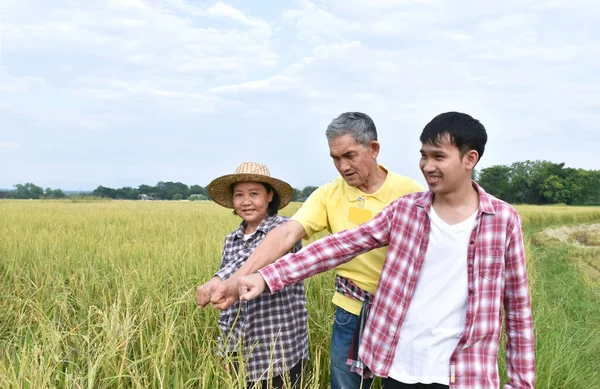 三位亚洲农民站在那里 对稻田中间成功地完成水稻种植和其他协议表示热烈的祝贺和高兴 — 图库照片