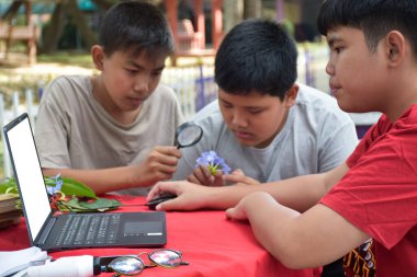 Ödev yapan, bilgi arayan ve çeşitli tropikal orman türleri hakkındaki haberleri dizüstü bilgisayarlar, büyüteçler, not defterleri, cep dürbünleri ve tabletler kullanarak yapan Asyalı genç çocuklar, yumuşak odaklanma.