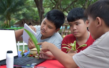 Ödev yapan, bilgi arayan ve çeşitli tropikal orman türleri hakkındaki haberleri dizüstü bilgisayarlar, büyüteçler, not defterleri, cep dürbünleri ve tabletler kullanarak yapan Asyalı genç çocuklar, yumuşak odaklanma.