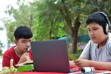 Ödev yapan, bilgi arayan ve çeşitli tropikal orman türleri hakkındaki haberleri dizüstü bilgisayarlar, büyüteçler, not defterleri, cep dürbünleri ve tabletler kullanarak yapan Asyalı genç çocuklar, yumuşak odaklanma.