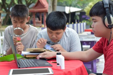 Ödev yapan, bilgi arayan ve çeşitli tropikal orman türleri hakkındaki haberleri dizüstü bilgisayarlar, büyüteçler, not defterleri, cep dürbünleri ve tabletler kullanarak yapan Asyalı genç çocuklar, yumuşak odaklanma.