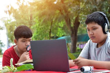 Ödev yapan, bilgi arayan ve çeşitli tropikal orman türleri hakkındaki haberleri dizüstü bilgisayarlar, büyüteçler, not defterleri, cep dürbünleri ve tabletler kullanarak yapan Asyalı genç çocuklar, yumuşak odaklanma.