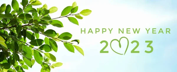 \'HAPPY NEW YEAR 2023\' in green color with ficus branches and leaves background, concept for greeting invitation card and happy new year 2023 concept.