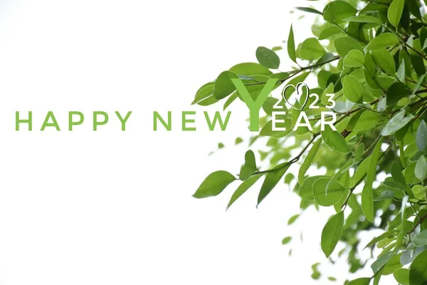 \'HAPPY NEW YEAR 2023\' in green color with ficus branches and leaves background, concept for greeting invitation card and happy new year 2023 concept.