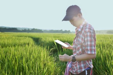 Sideview of young asian teen boy wears plaid shirt and hat, holding tablet, standing to survey rice growing information in the middle of rice paddy field to do his school plant growing project work.