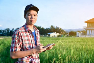 Sideview of young asian teen boy wears plaid shirt and hat, holding tablet, standing to survey rice growing information in the middle of rice paddy field to do his school plant growing project work.