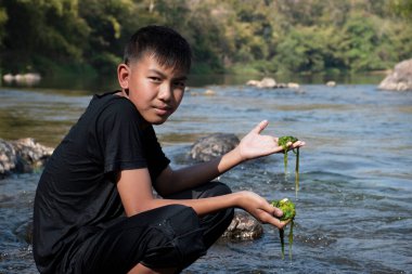 Asian schoolboy holding freshwater algae from diving into the river and pulling it up to study the fertility of the river's nature and including to do freshwater algae in his environment project work.