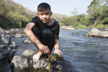 Asian schoolboy holding freshwater algae from diving into the river and pulling it up to study the fertility of the river's nature and including to do freshwater algae in his environment project work.