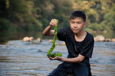 Asian schoolboy holding freshwater algae from diving into the river and pulling it up to study the fertility of the river's nature and including to do freshwater algae in his environment project work.