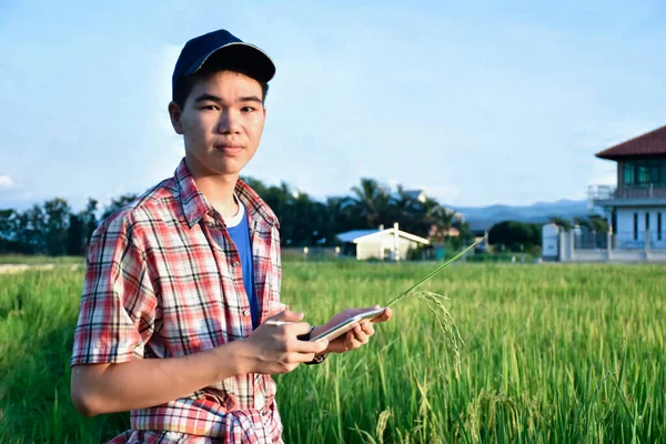 Young asian teenager in plaid shirt, wears cap and holding tablet in hands, standing and using his tablet to survey information of rice growing and to do school project work in rice paddy field.