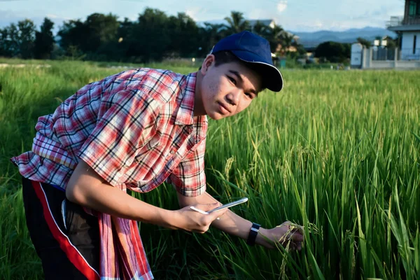 Young asian teenager in plaid shirt, wears cap and holding tablet in hands, standing and using his tablet to survey information of rice growing and to do school project work in rice paddy field.