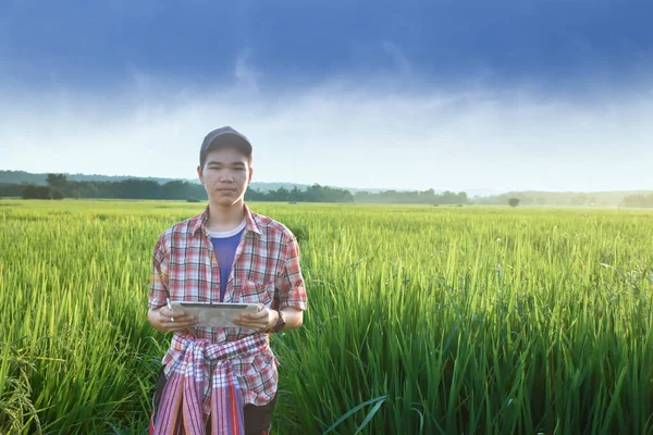 Young asian teenager in plaid shirt, wears cap and holding tablet in hands, standing and using his tablet to survey information of rice growing and to do school project work in rice paddy field.
