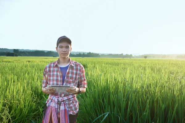 Young asian teenager in plaid shirt, wears cap and holding tablet in hands, standing and using his tablet to survey information of rice growing and to do school project work in rice paddy field.