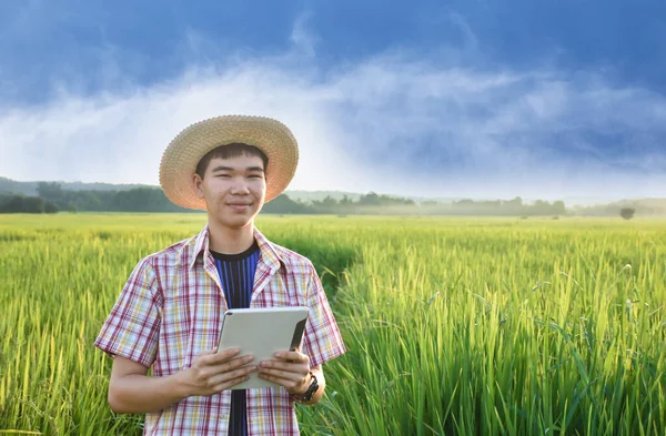 Young asian teenager in plaid shirt, wears cap and holding tablet in hands, standing and using his tablet to survey information of rice growing and to do school project work in rice paddy field.