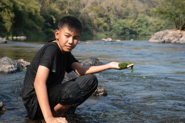 Asian schoolboy holding freshwater algae from diving into the river and pulling it up to study the fertility of the river's nature and including to do freshwater algae in his environment project work.