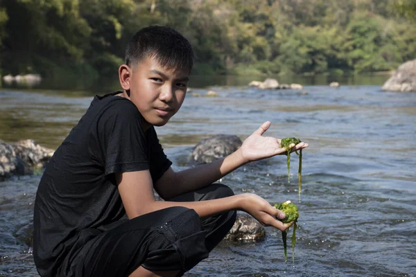 Asian schoolboy holding freshwater algae from diving into the river and pulling it up to study the fertility of the river's nature and including to do freshwater algae in his environment project work.