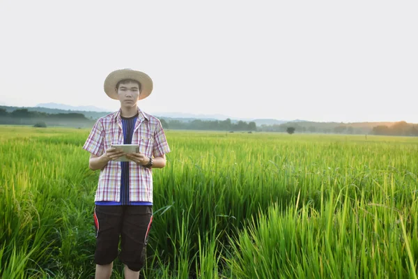 Young asian teenager in plaid shirt, wears cap and holding tablet in hands, standing and using his tablet to survey information of rice growing and to do school project work in rice paddy field.