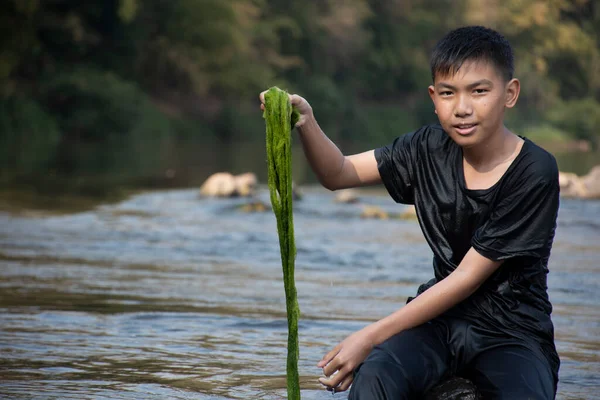 Asian schoolboy holding freshwater algae from diving into the river and pulling it up to study the fertility of the river's nature and including to do freshwater algae in his environment project work.