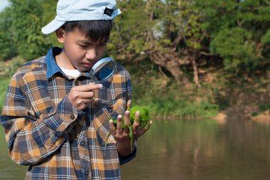 Asian boy in a plaid shirt wears a cap, holds magnifyig glass to see freshwater algae that he plucks from a river to study the river's cleanliness, idea for ecosystem, ecoeffect and pesticide effect.