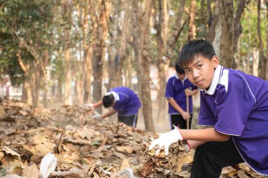 Asyalı öğrenciler ağaçların altına düşen kurumuş yaprakları topluyor ve onları ağaçların yanına yığarak okul çevresinde, Dünya Günü konseptinde topluma dağıtmak için organik gübre oluşturuyorlar..