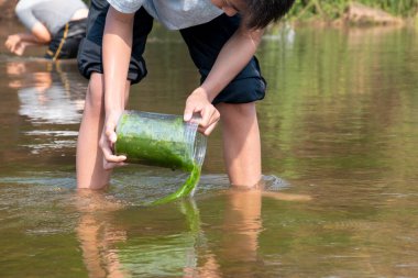 Asyalı erkekler tatlı su yosunu ya da spirogyra tutarlar, yerel nehirde yetişen ve ekosistemi incelemek ve nehirdeki suyun klanlığını gözlemlemek için dağdan yüzen spironina..