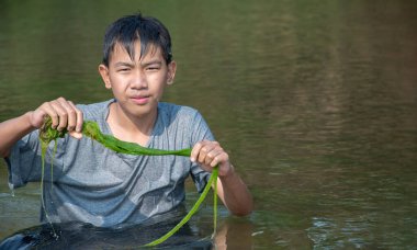 Asyalı erkekler tatlı su yosunu ya da spirogyra tutarlar, yerel nehirde yetişen ve ekosistemi incelemek ve nehirdeki suyun klanlığını gözlemlemek için dağdan yüzen spironina..