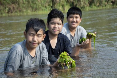 Asyalı erkekler tatlı su yosunu ya da spirogyra tutarlar, yerel nehirde yetişen ve ekosistemi incelemek ve nehirdeki suyun klanlığını gözlemlemek için dağdan yüzen spironina..