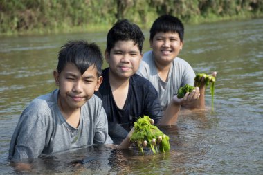 Asyalı erkekler tatlı su yosunu ya da spirogyra tutarlar, yerel nehirde yetişen ve ekosistemi incelemek ve nehirdeki suyun klanlığını gözlemlemek için dağdan yüzen spironina..