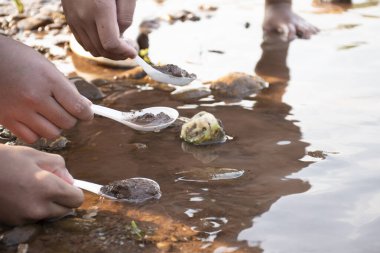 Asyalı çocuk, nehir kıyısındaki çamur, toprak, kaya ve kumları temizlemek için metal kaşık kullanıyor ve içeride yaşayan organizmaları, okul dışındaki bilim laboratuarlarındaki mikropları ve toksinleri inceliyor..