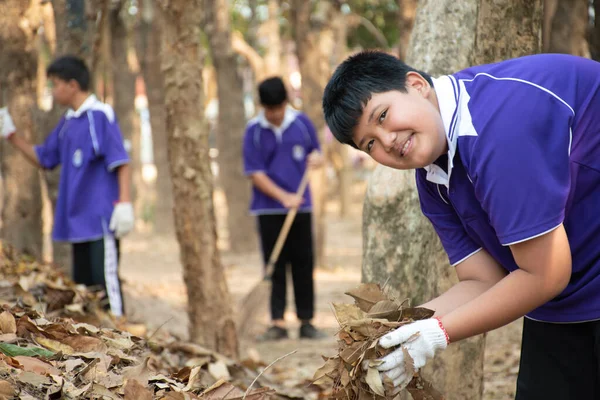 Азиатские Студенты Собирают Сухие Листья Упавшие Деревья Складывают Рядом Деревьями — стоковое фото