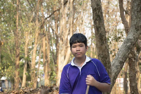 Estudantes Asiáticos Estão Coletando Folhas Secas Que Caíram Sob Árvores — Fotografia de Stock